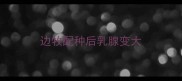 边牧配种后乳腺变大