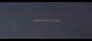 一般给宠物打什么疫苗