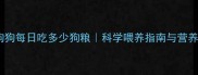 五个月大狗狗每日吃多少狗粮科学喂养指南与营养搭配秘籍