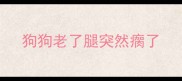 狗狗老了腿突然瘸了