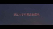 浙江大学附属宠物医院