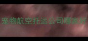宠物航空托运公司哪家好