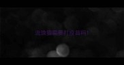 流浪猫需要打疫苗吗
