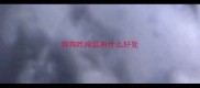 狗狗吃南瓜有什么好处