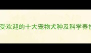 中国最受欢迎的十大宠物犬种及科学养护指南