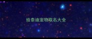 给泰迪宠物取名大全