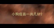 小狗疫苗一共几针