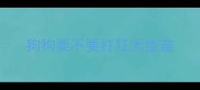 狗狗要不要打狂犬疫苗