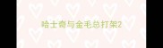 哈士奇与金毛总打架