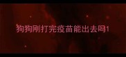 狗狗刚打完疫苗能出去吗