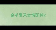 金毛夏天发情配种