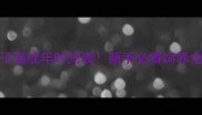 山东狮子猫成年时间表新手必看饲养全攻略