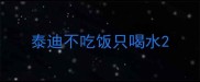 泰迪不吃饭只喝水