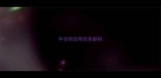 半岁的拉布拉多缺钙