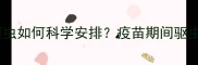 小狗疫苗与驱虫如何科学安排疫苗期间驱虫注意事项全