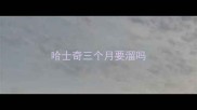哈士奇三个月要溜吗