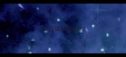 1个月猫咪不会走