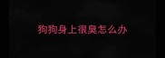狗狗身上很臭怎么办