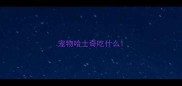 宠物哈士奇吃什么