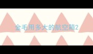金毛用多大的航空箱