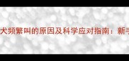 拉布拉多幼犬频繁叫的原因及科学应对指南新手养宠必读