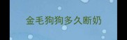 金毛狗狗多久断奶