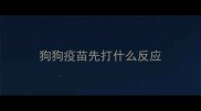 狗狗疫苗先打什么反应