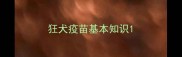 狂犬疫苗基本知识