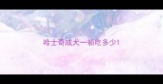 哈士奇成犬一顿吃多少