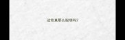 边牧真那么聪明吗