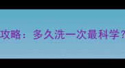 哈士奇幼犬洗澡频率全攻略多久洗一次最科学注意事项与清洁技巧