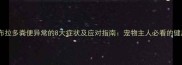 专业解读拉布拉多粪便异常的8大症状及应对指南宠物主人必看的健康观察手册