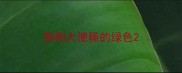 狗狗大便稀的绿色