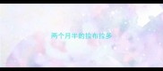 两个月半的拉布拉多
