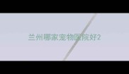 兰州哪家宠物医院好