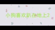 小狗喜欢趴在地上