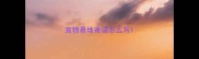 宠物墓地寄语怎么写