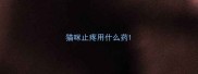 猫咪止疼用什么药