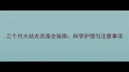 三个月大幼犬洗澡全指南科学护理与注意事项