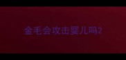 金毛会攻击婴儿吗