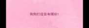 狗狗打疫苗有哪些