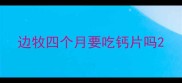 边牧四个月要吃钙片吗