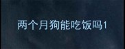 两个月狗能吃饭吗