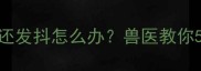 狗狗突然没精神还发抖怎么办兽医教你5大紧急处理步骤