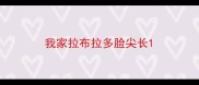 我家拉布拉多脸尖长
