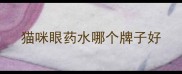 猫咪眼药水哪个牌子好