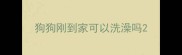 狗狗刚到家可以洗澡吗