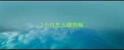 3个月怎么喂狗粮