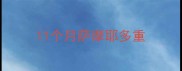 11个月萨摩耶多重