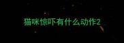 猫咪惊吓有什么动作